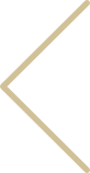Anterior